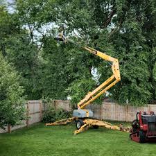 Trusted Point Clear, AL Tree Care Experts